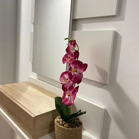 Appartement Preamar Gran Con Terraza *