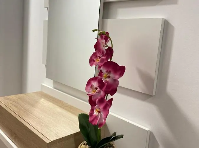 Apartmán Preamar Gran Con Terraza *